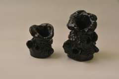 Suon-keuhkot-2024-keramiikka-152311-cm